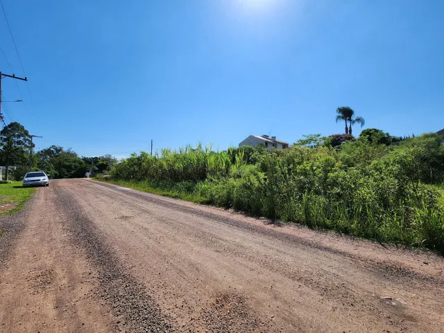 Vista de uma estrada de terra em uma área residencial com vegetação densa.