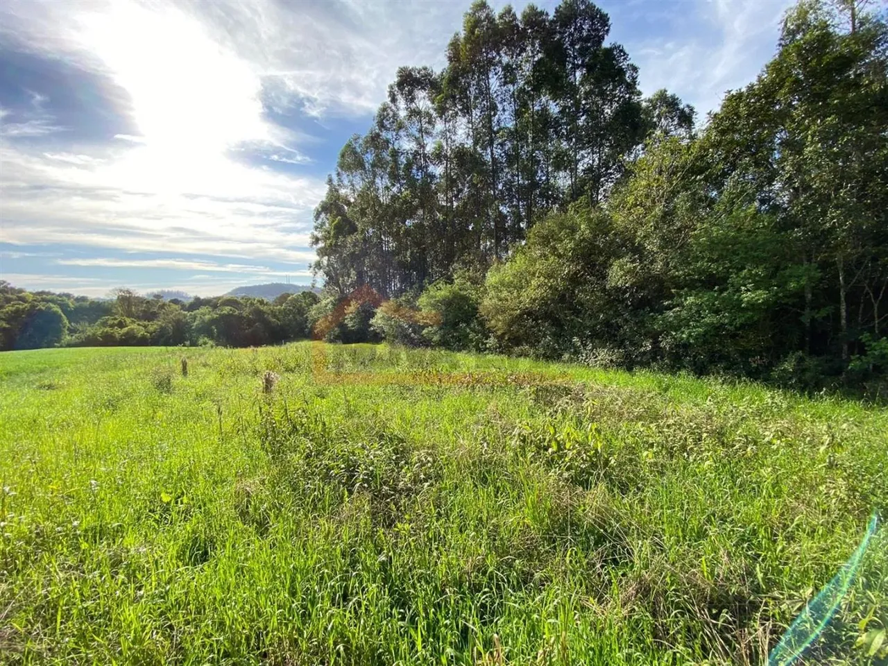 Área rural, foto 1