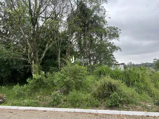 Vista da propriedade com vegetação densa e árvores