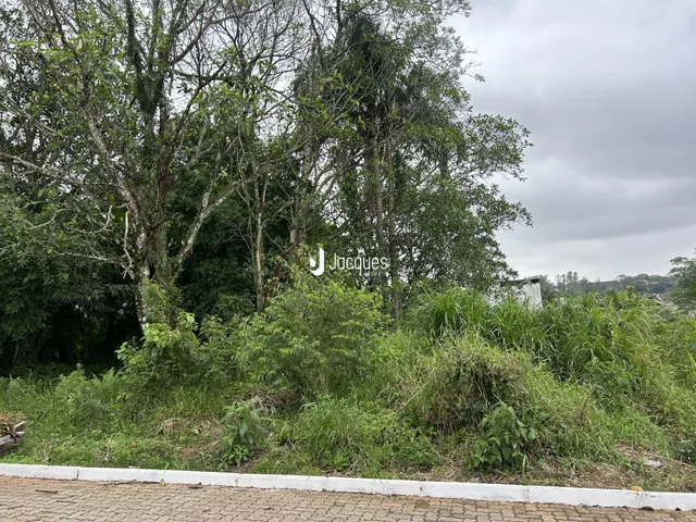 Vista da propriedade com vegetação densa e árvores