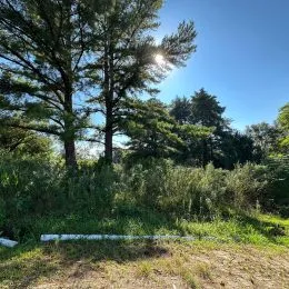Terreno, foto 6