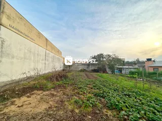 Terreno, foto 4
