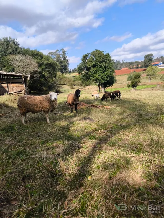 Área rural, foto 5