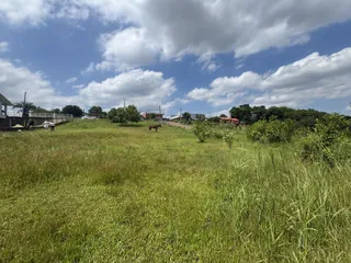 Terreno, foto 3