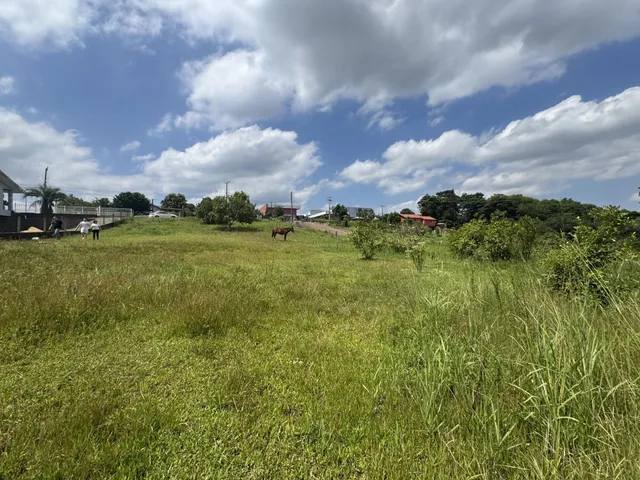 Terreno, foto 3