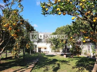 Fachada de uma residência em Lajeado com árvores frutíferas e gramado.