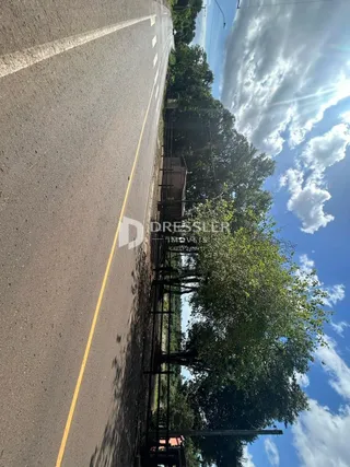 Vista da rua com árvores e céu azul em Lajeado.