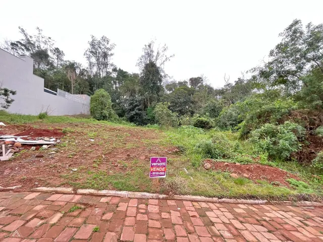 Terreno, foto 2