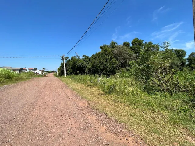 Terreno, foto 2