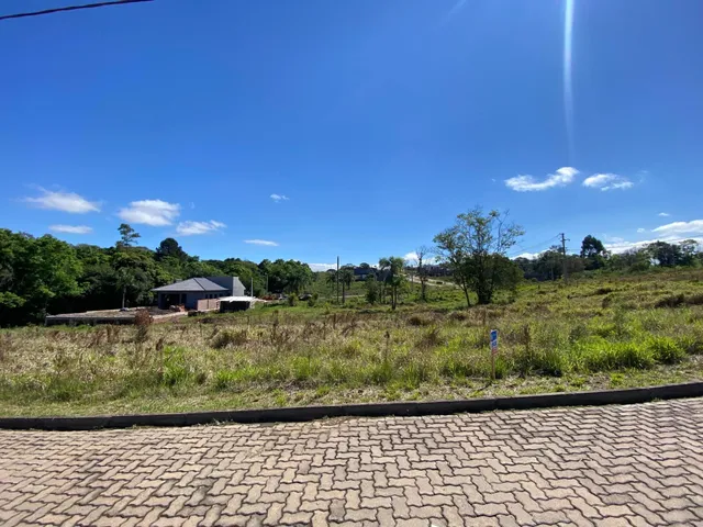 Terreno, foto 3