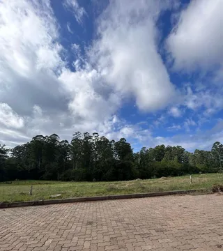Terreno, foto 11