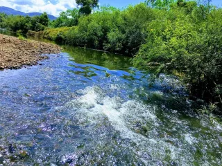 Área rural com 2 dormitórios, foto 2