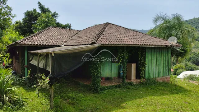 Fachada de uma casa verde com telhado de telhas cercada por vegetação.