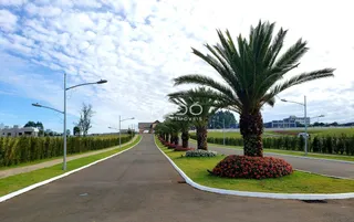 Vista de uma rua com paisagismo e palmeiras em Lajeado.