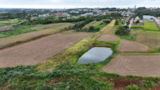 Vista aérea de campos agrícolas e um pequeno lago na paisagem de Lajeado.