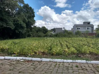 Terreno, foto 1