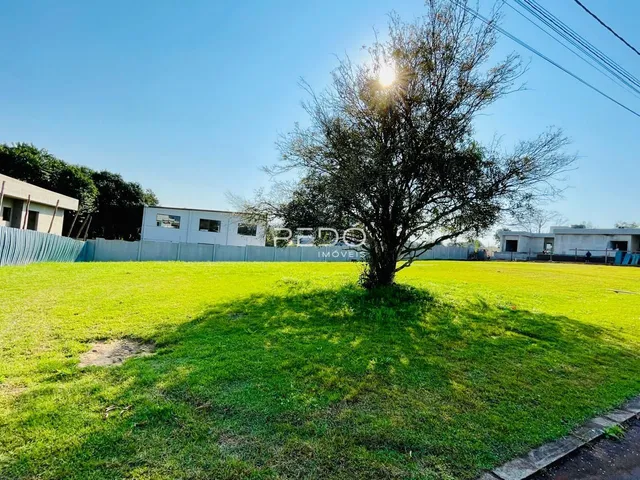 Terreno, foto 3