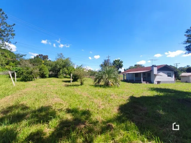 Paisagem de campo com grama verde e árvores ao fundo.