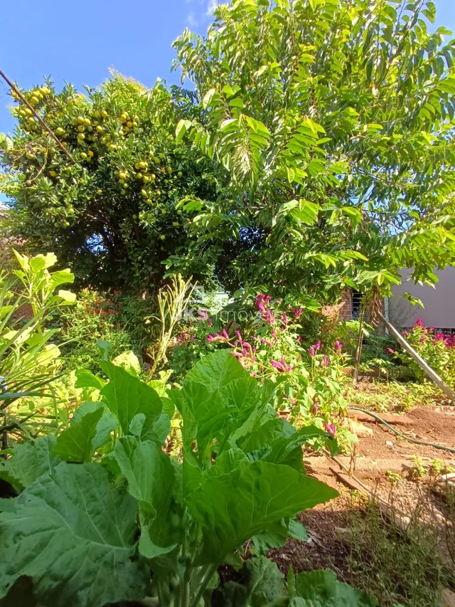 Casa com 3 dormitórios, foto 3