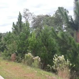 Área rural, foto 7