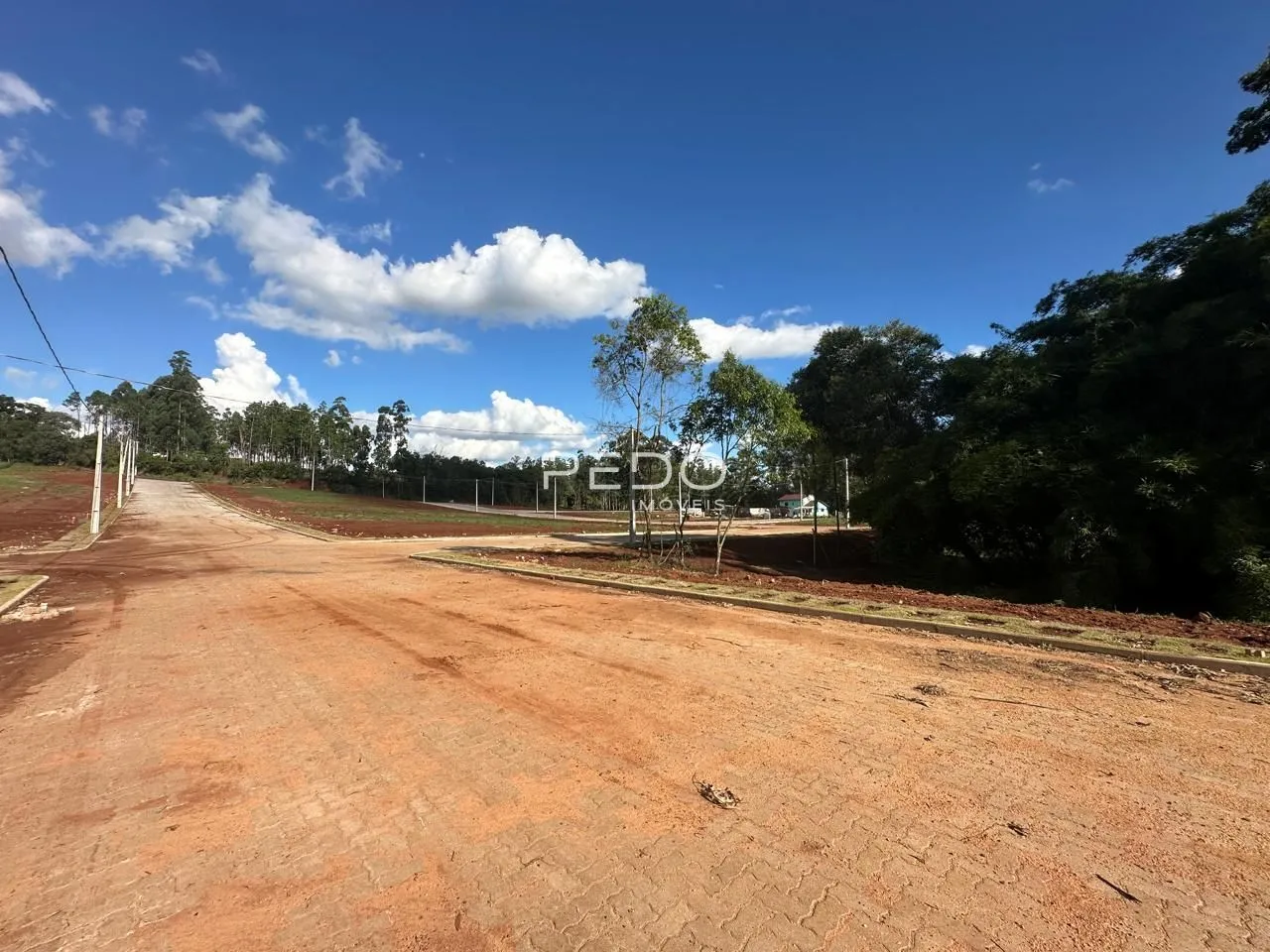 Terreno, foto 1