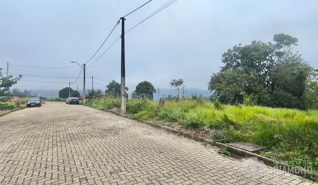 Terreno, foto 2