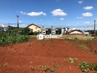 Foto de um terreno aberto com solo avermelhado e vegetação rasteira.