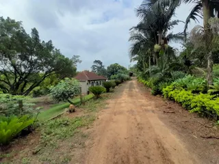 Área rural com 4 dormitórios, foto 6