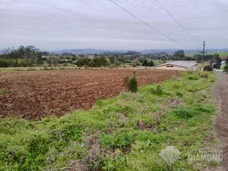 Terreno, foto 3