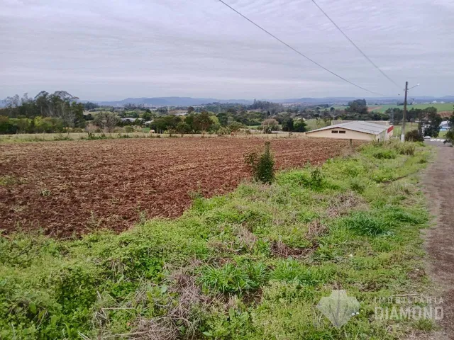 Terreno, foto 3