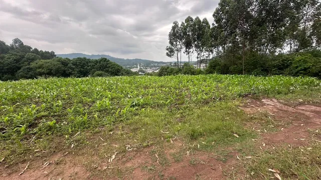 Área rural, foto 2