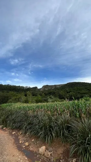 Área rural, foto 6