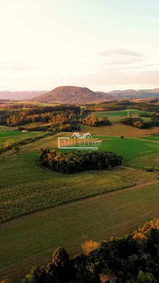 Área rural com 3 dormitórios, foto 1