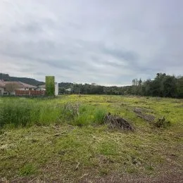 Vista de um campo aberto com vegetação rasteira sob um céu nublado.