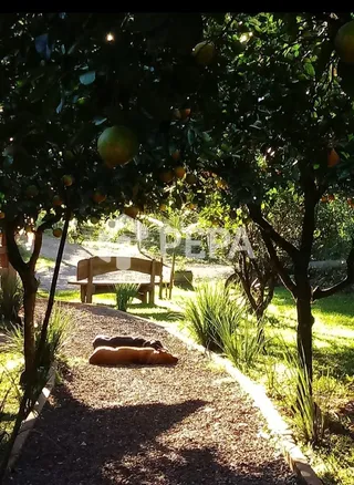 Área rural com 3 dormitórios, foto 22