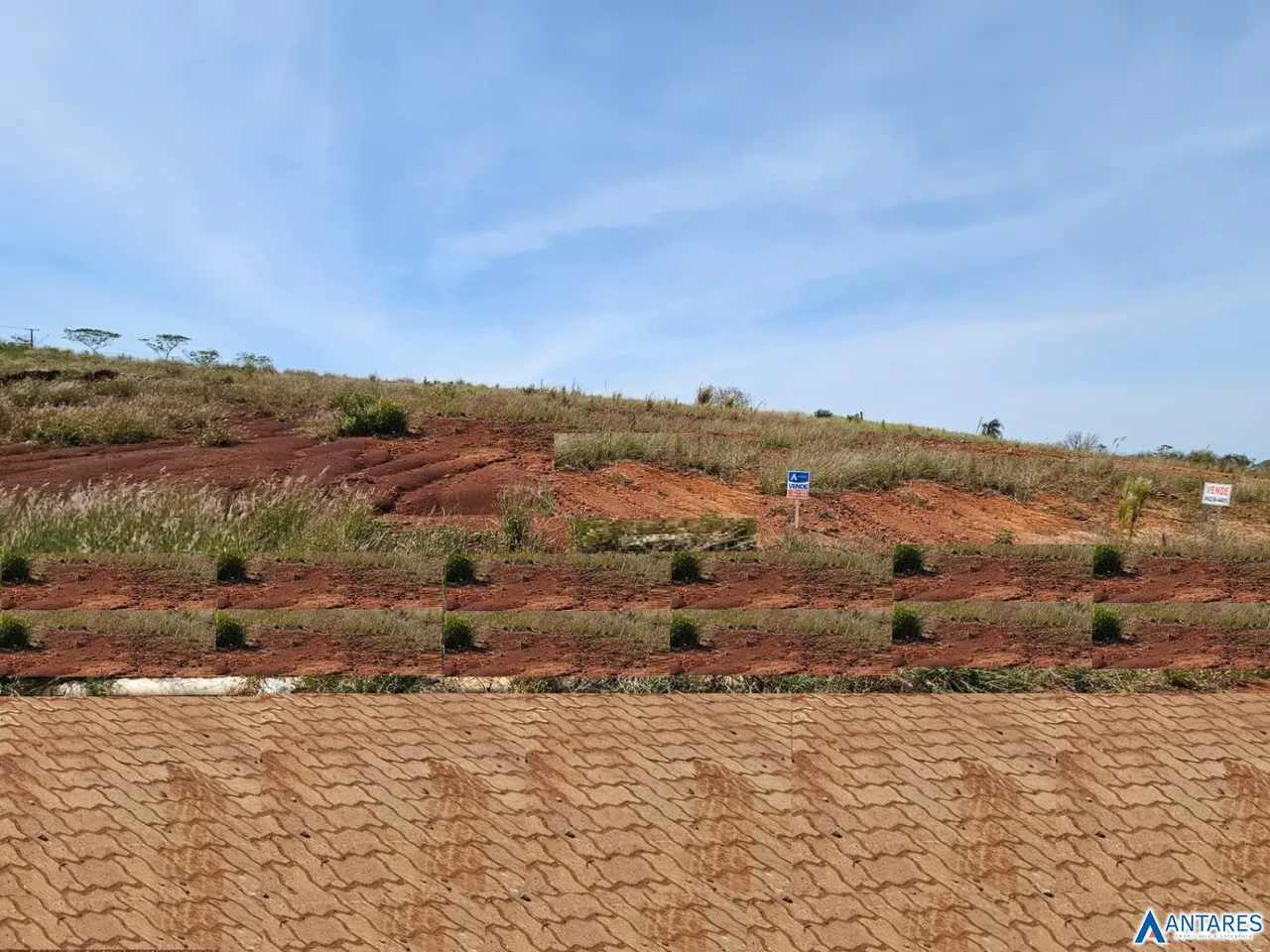 Terreno, foto 1