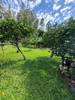 Casa com 3 dormitórios, foto 11