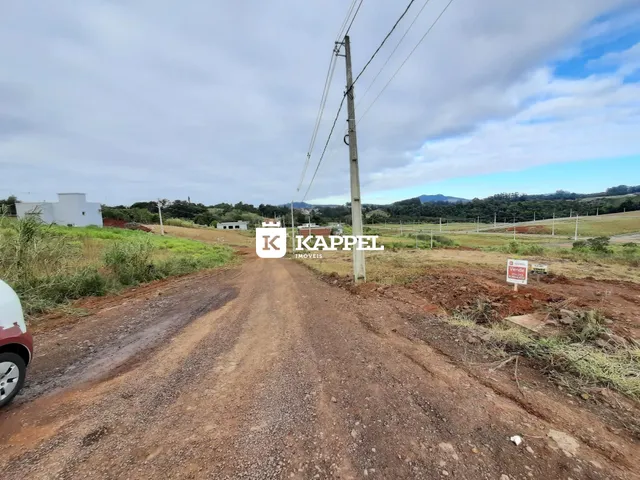 Vista externa de uma estrada de terra em uma área rural com vegetação ao fundo.