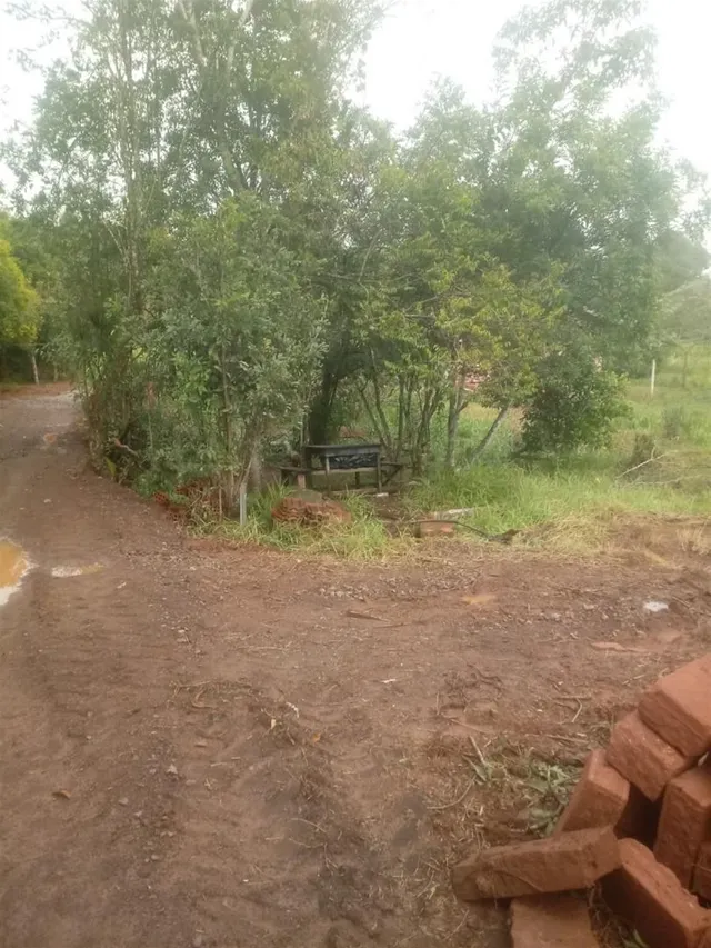 Área rural, foto 4