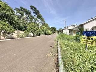 Vista da rua em Lajeado, Brasil com vegetação ao lado.