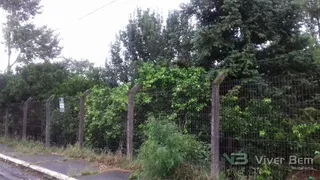 Terreno, foto 2