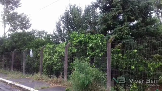 Terreno, foto 2
