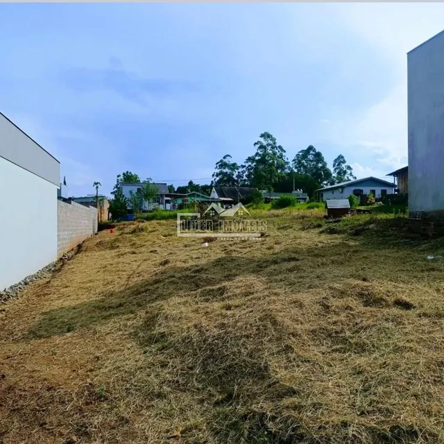 Terreno, foto 2