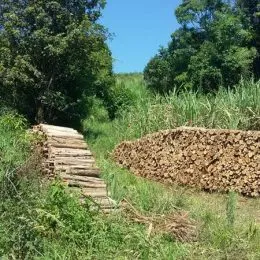 Área rural, foto 9