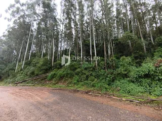 Área rural, foto 4