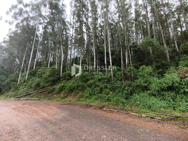 Área rural, foto 4