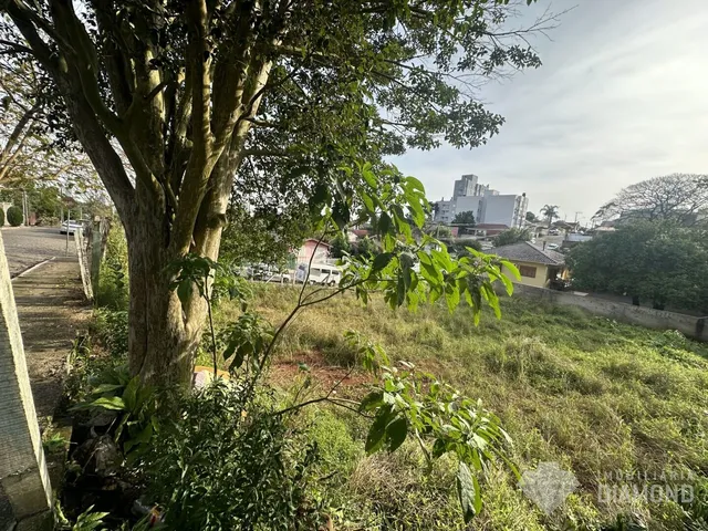Terreno, foto 5