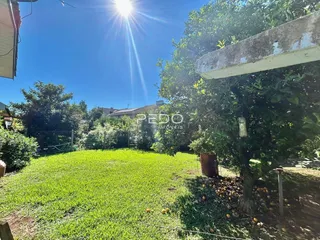 Vista externa de um jardim verde com árvores sob luz solar intensa.
