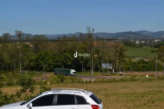 Paisagem de campo com árvores e uma estrada no Brasil.