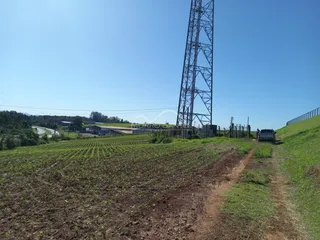 Vista de um campo de cultivo verde sob um céu azul claro.
